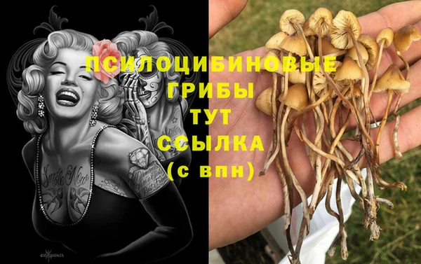 крисы Нея