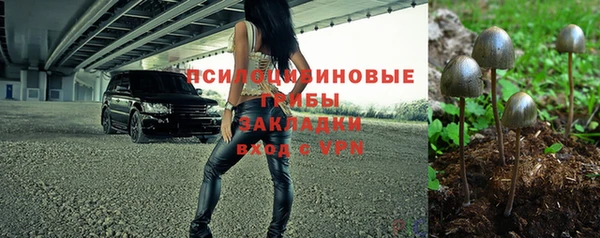 винт Аркадак