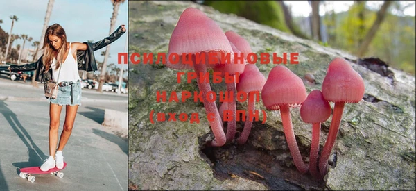 индика Армянск