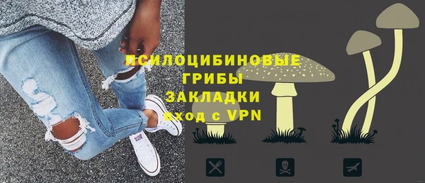 индика Армянск