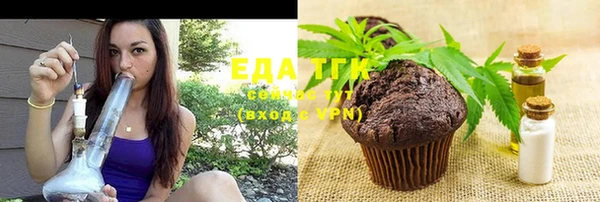 индика Армянск