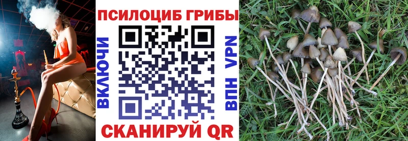 Галлюциногенные грибы прущие грибы  Будённовск 